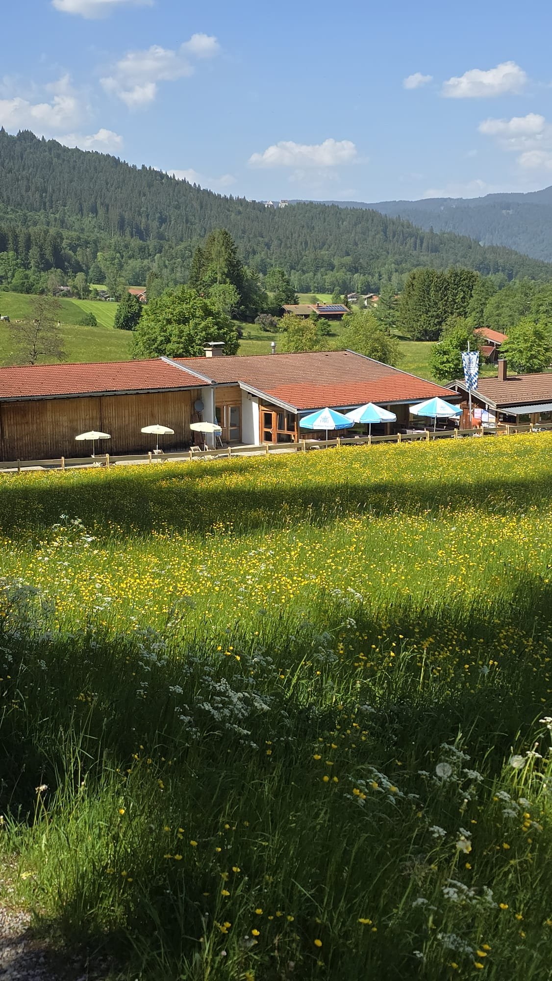 Abend auf der Alm